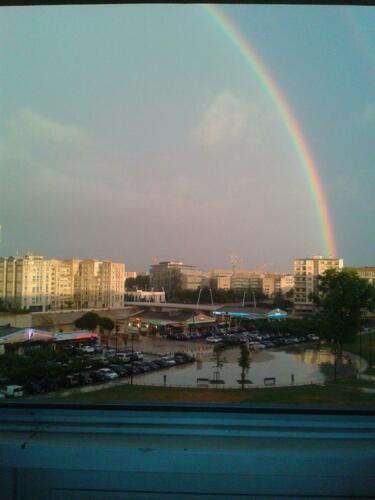 IMG-20210219-WA0003